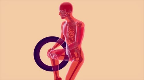 Conceito de anatomia 4K de uma dor no joelho