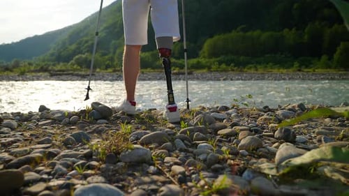 Disfrutando de la vida Las personas con discapacidades viajan en la naturaleza