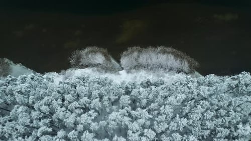 Lake Shore Next To Woods In Winter