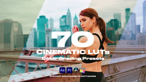 Cinematic LUTs Vol.1
