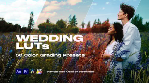 Colorify Wedding LUTs