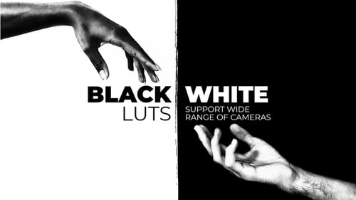Black and White LUTs
