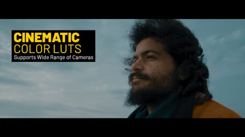Cinematic LUTs