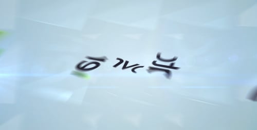 Center Flip (Corporate Logo)