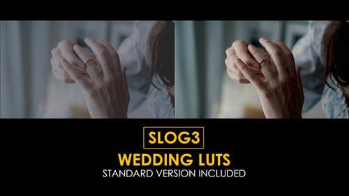 Slog3 Wedding and Standard LUTs