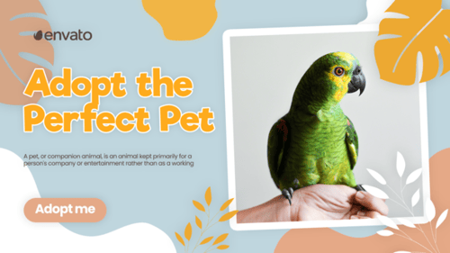 Adopt Pet Promo