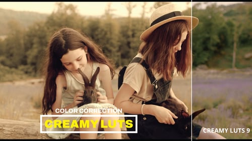 LUTs Creamy