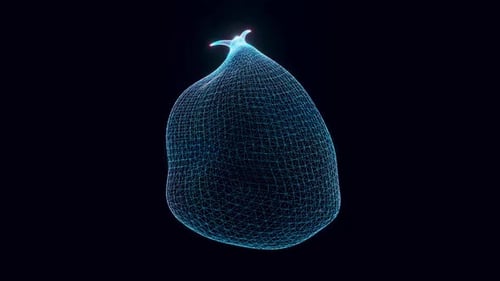 Müllsack Hologramm rotierend 4k