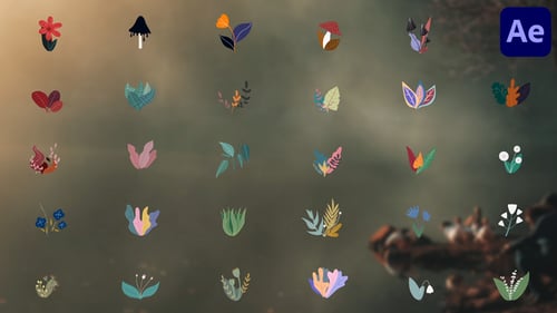 Cartoon Flowers Liquid Motion for After Effects