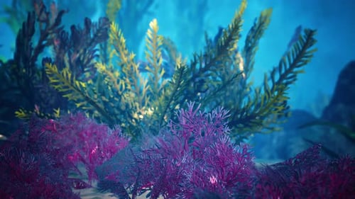 Underwater Coral Reef with Sun Rays