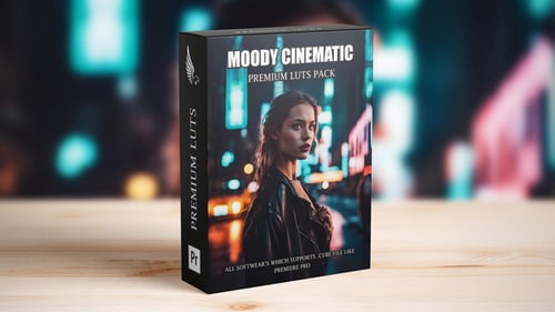 Cinematic Dark and Moody Brown Street Landscape LUTs