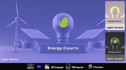 Energy Experts
