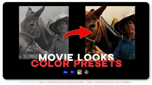 Movie Looks LUTs - Color Presets Pack