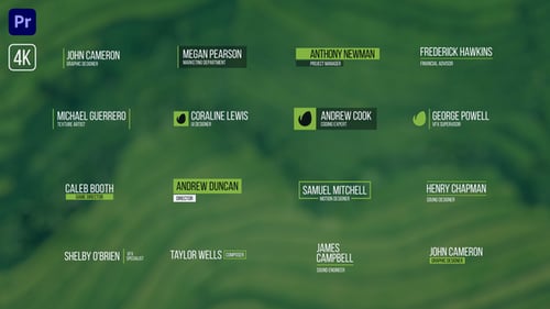 Minimal / Lower Thirds | MOGRT