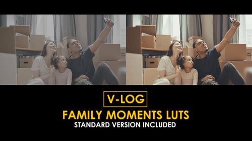 V-Log Family Moments and Standard Color LUTs