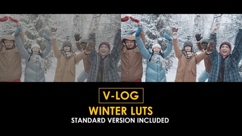 V-Log Winter and Standard LUTs