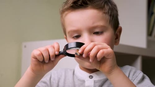 Cuarentena y estudio en casa, concepto de quedarse en casa, niño en casa durante la cuarentena