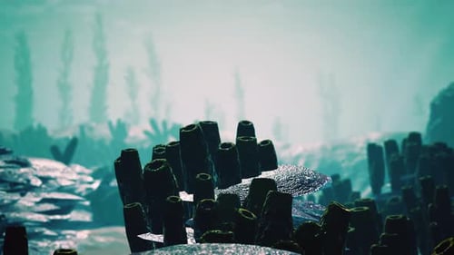 Underwater Coral Reef with Sun Rays