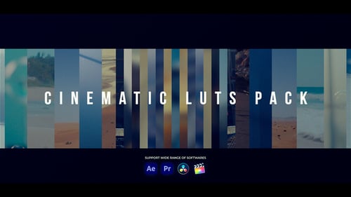 Cinematic LUTs | Premiere Pro