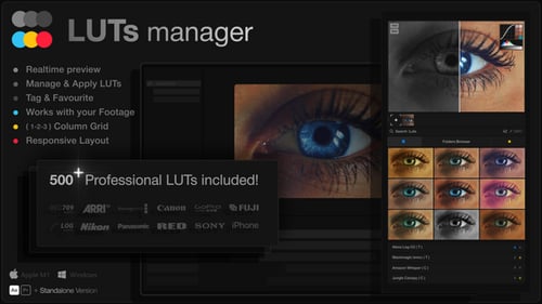 LUTs Manager: Real-Time Bulk Previews Tool & 500 LUTs for Effortless Professional Color Grading