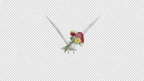 Dove with Bouquet - 4K Flying Cycle - Front View