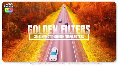 30+ Cinematic Golden Video Filters