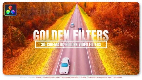 30+ Cinematic Golden Video Filters - For DaVinci Resolve