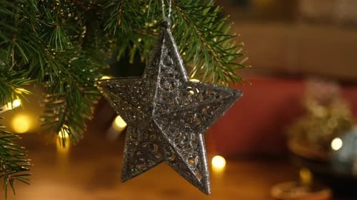Silver Star on Christmas Tree Branch at Home