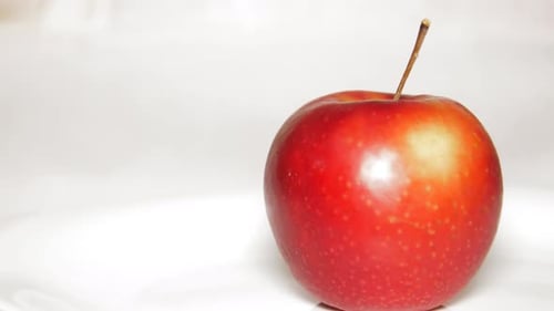 Red Apple on a White Background