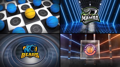 Basketball Bumper 5 (3-Bumpers)