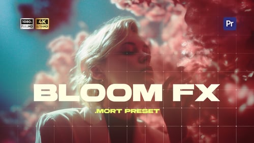 Bloom FX Overlay