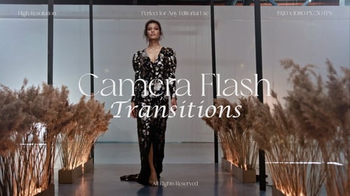 Camera Flash Transitions