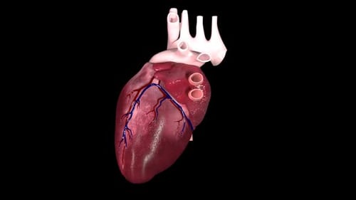 Rotierendes schlagen
