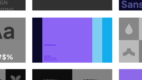 Brand Identity Reveal