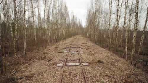 Abandoned Narrow Gauge Railway in the Forest, Autumn Day