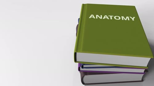 Libro con título ANATOMÍA