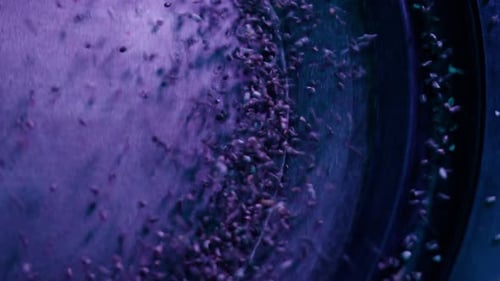 Acoustic Sound System Closeup Flying Spices