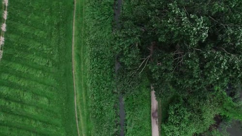 Top Down Aerial Footage of the Small River in the National Park