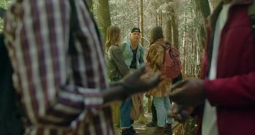 Travelling Friends Have a Chat at the Camping in Forest Trekking and Tourism 60p Prores