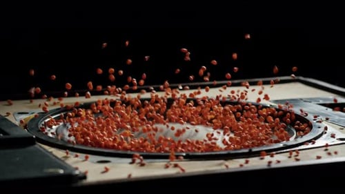 Acoustic Sound System Closeup Flying Spices