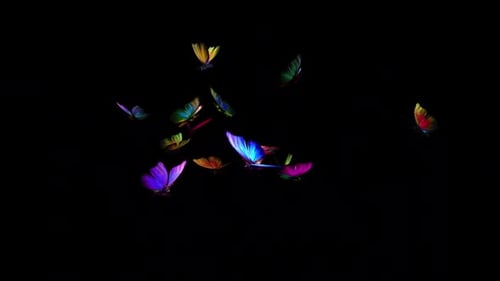 Rainbow Butterflies - Medium Swarm of 14 - Flying Loop - Alpha Channel