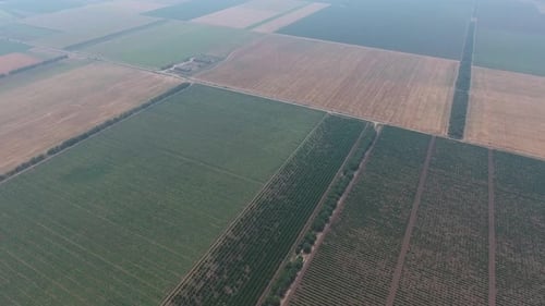 Aerial View on Agricultural Fields, Taman, Russia