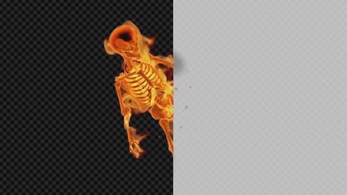 Burning Skeleton - Promo Show