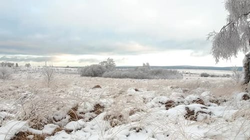 Pulling shot of frozen landscape with snow-covered grass, bushes, and trees.