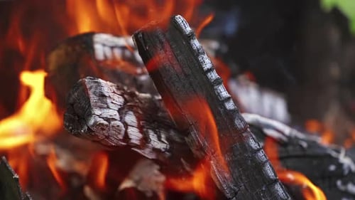 Burning up logs on campfire.