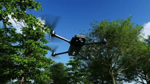 Drone In The Forest