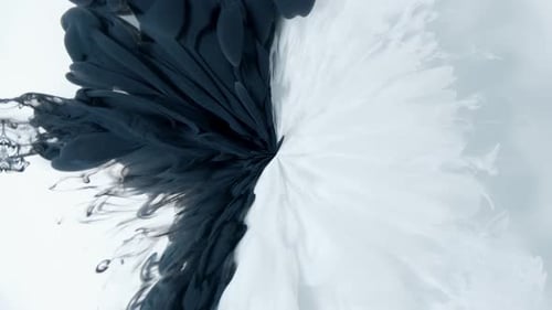 Black and White Ink Blot Spreading Turbulent Moving in Slow Motion