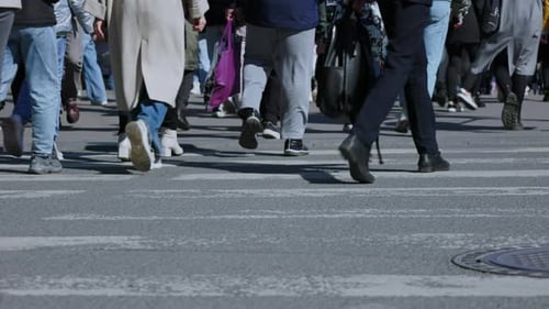 people walk on a pedestrian crossing the street