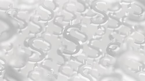 Dollar Signs White Background