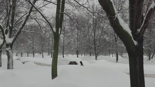 Long and Heavy Snowfall in the City